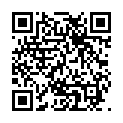 Scan this QR code with your smart phone to view Steve Palessiro YadZooks Mobile Profile