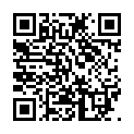 Scan this QR code with your smart phone to view Mike Schulz YadZooks Mobile Profile