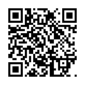 Scan this QR code with your smart phone to view Al Schmidt YadZooks Mobile Profile
