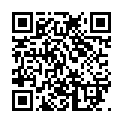 Scan this QR code with your smart phone to view Paul King YadZooks Mobile Profile