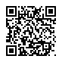 Scan this QR code with your smart phone to view Larry Schmid YadZooks Mobile Profile