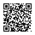 Scan this QR code with your smart phone to view David Nice YadZooks Mobile Profile